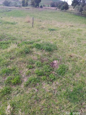 Finca en Venta - Villapinzón Cund. - Finca en Villapinzón, Cundinamarca